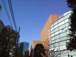 s-D1000095.jpg