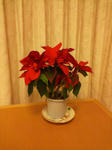 s-D1000098.jpg