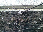 s-D1000112.jpg