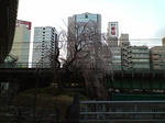 s-D1000113.jpg