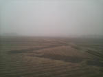 s-D1000115.jpg
