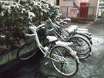 s-D1000116.jpg
