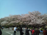 s-D1000123.jpg