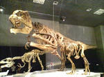 s-D1000129.jpg