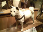 s-D1000131.jpg