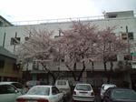s-D1000135.jpg