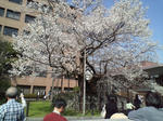 s-D1000137.jpg