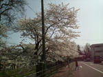 s-D1000138.jpg