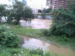 s-D1000168.jpg