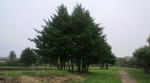 s-P1000001.jpg