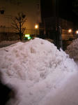 s-P1000010.jpg