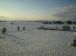s-P1000011.jpg