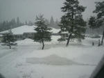 P1000013.jpg