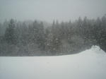 P1000014.jpg