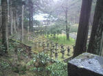 P1000034.jpg