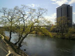 s-P1000013.jpg
