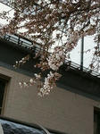 s-IMG_0491.jpg