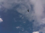 IMG_0622.JPG