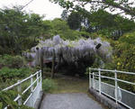 公民館横の橋と