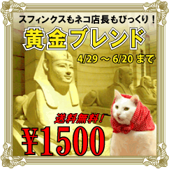 ネコ店長もスフィンクスもびっくり！黄金ブレンド