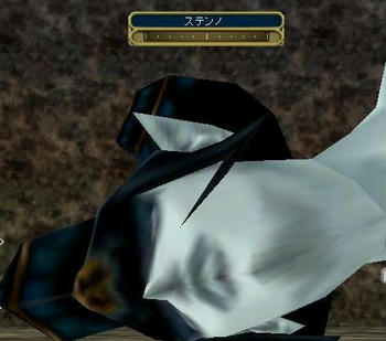shini6.JPG
