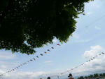 2010_0530_110831-P1020890.JPG