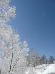 2011_0219_104949-P1030729.JPG