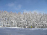 2011_0219_135540-P1030754.JPG