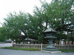 nishi_honganji2.JPG