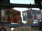 01c589a3.JPG