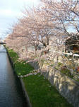 2010_0401a.JPG