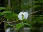 BLOG2011_04300199.JPG