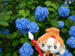 DSCF8427.JPG