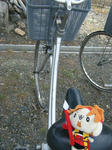 DSCF8460.JPG