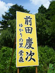 DSCF8463.JPG