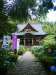 DSCF8466.JPG