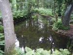 DSCF8481.JPG