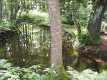 DSCF8490.JPG