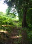 DSCF8493.JPG