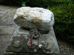 DSCF8471.JPG