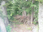 DSCF8502.JPG
