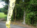 DSCF8503.JPG