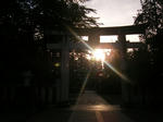 DSCF8519.JPG