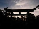 DSCF8524.JPG