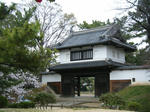 DSCF8547.JPG