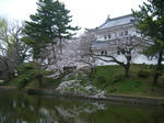 DSCF8543.JPG