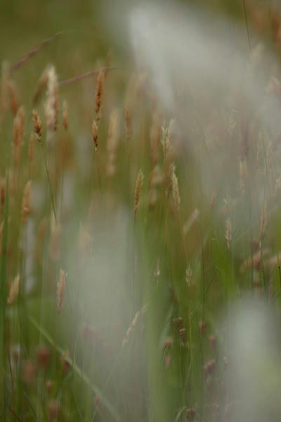 IMG_7752.jpg
