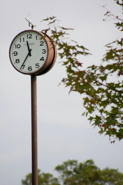 IMG_6589.jpg