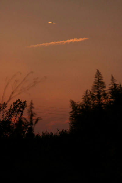 IMG_6650.jpg