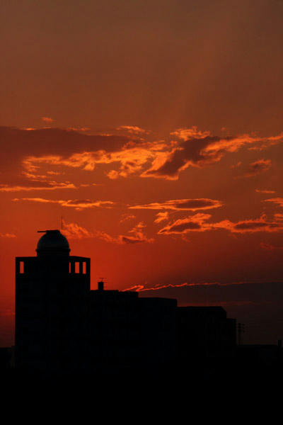 IMG_6775.jpg